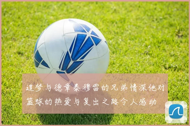 追梦与德章泰穆雷的兄弟情深他对篮球的热爱与复出之路令人感动